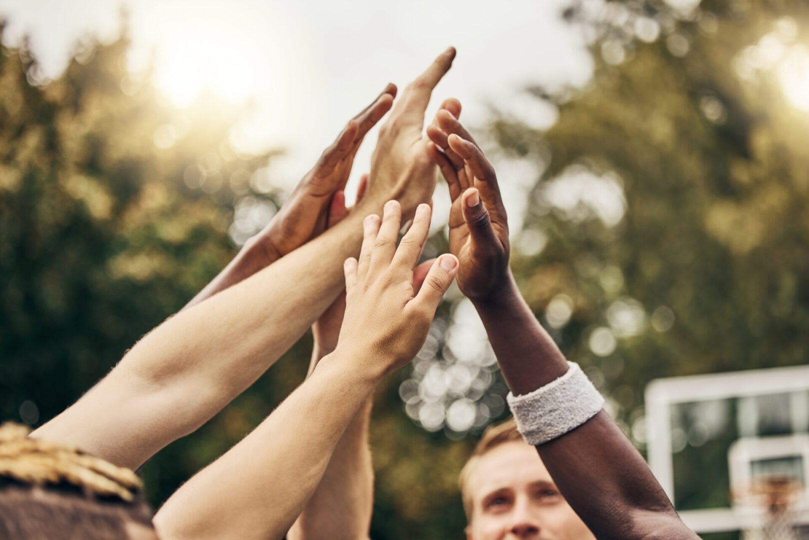 Hands reaching up in a group celebration.